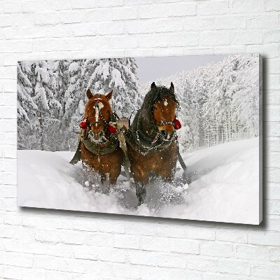 Fotobild Schlittenfahrt