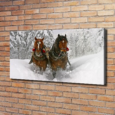 Fotobild Schlittenfahrt