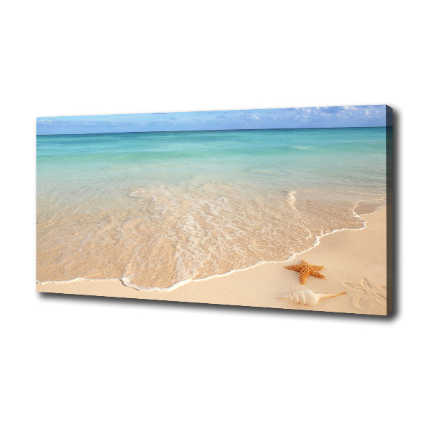 Fotobild Seesterne am Strand