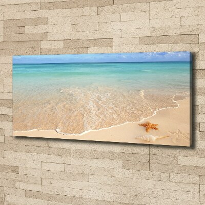 Fotobild Seesterne am Strand