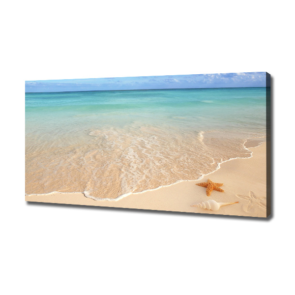 Fotobild Seesterne am Strand