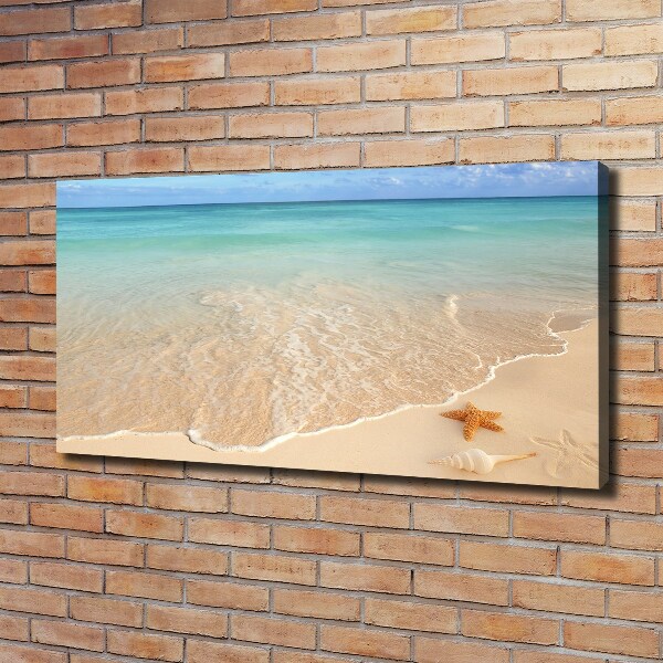 Fotobild Seesterne am Strand