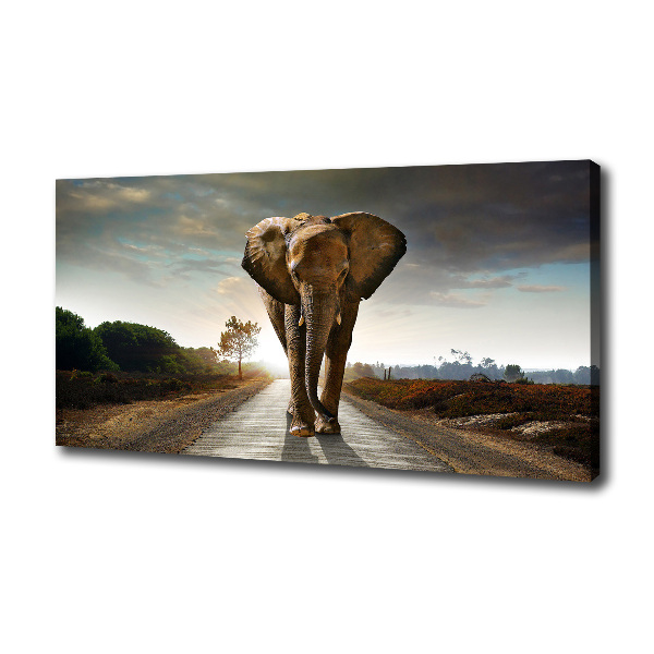 Wandbild Laufender Elefant