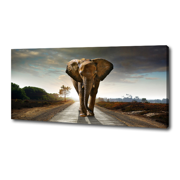 Wandbild Laufender Elefant