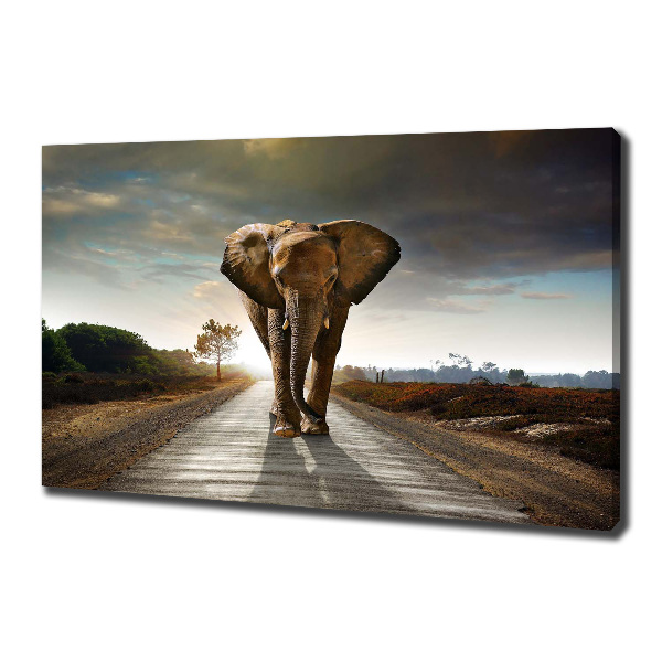 Wandbild Laufender Elefant