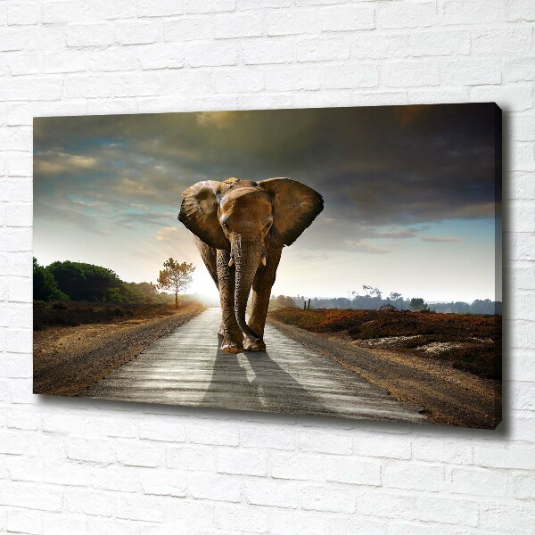 Wandbild Laufender Elefant