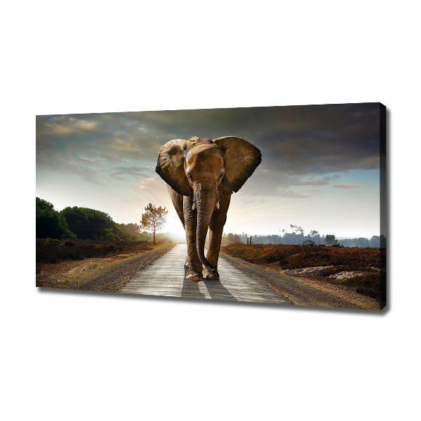 Wandbild Laufender Elefant