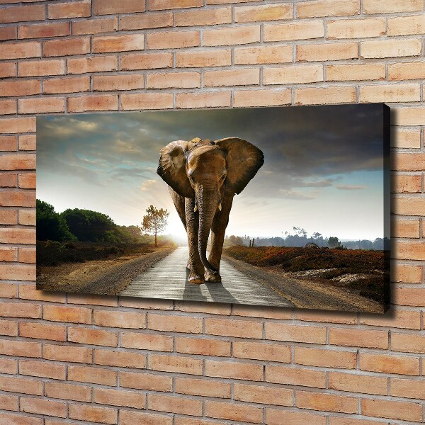 Wandbild Laufender Elefant