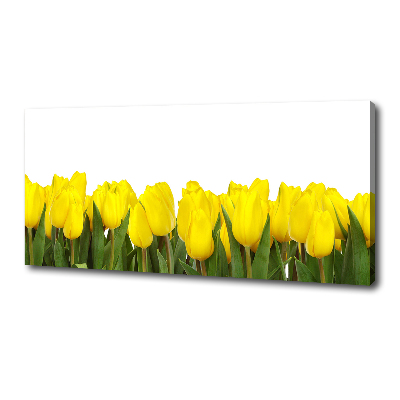 Bild auf leinwand Gelbe Tulpen
