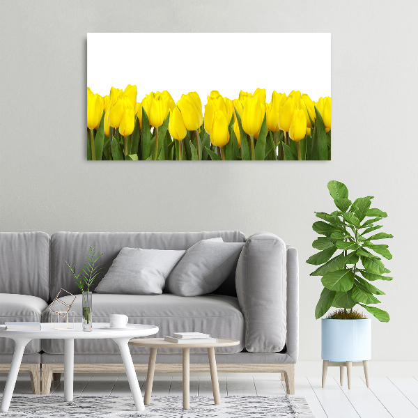 Bild auf leinwand Gelbe Tulpen