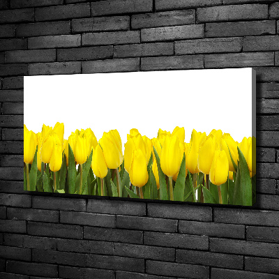 Bild auf leinwand Gelbe Tulpen