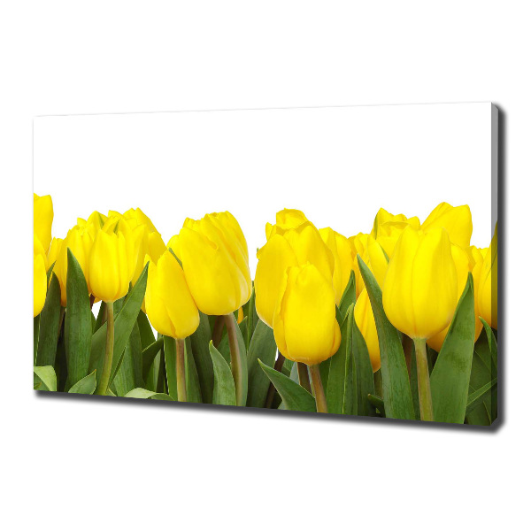 Bild auf leinwand Gelbe Tulpen