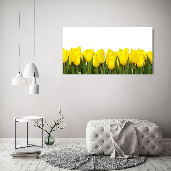 Bild auf leinwand Gelbe Tulpen