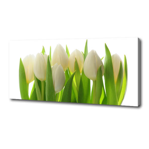 Fotobild Tulpen