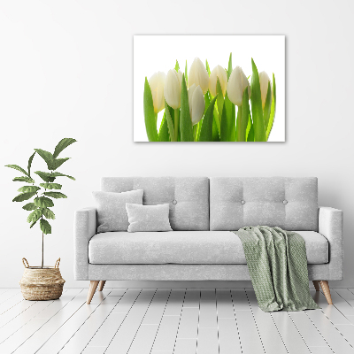 Fotobild Tulpen