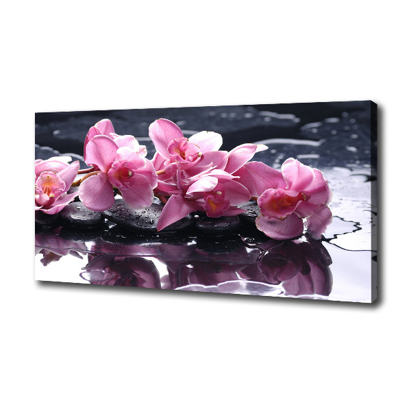 Bild auf leinwand Rosa Orchidee