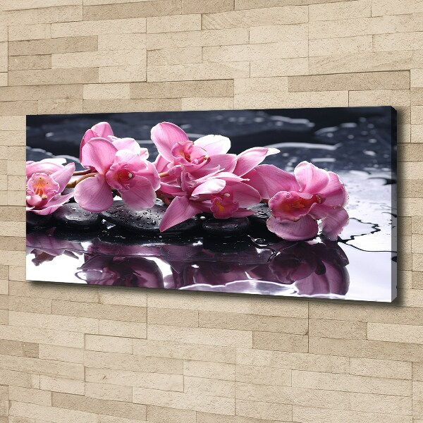 Bild auf leinwand Rosa Orchidee
