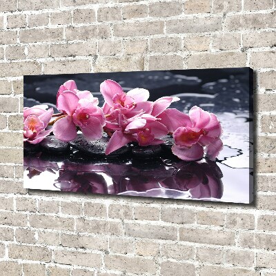 Bild auf leinwand Rosa Orchidee