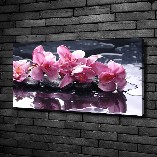 Bild auf leinwand Rosa Orchidee