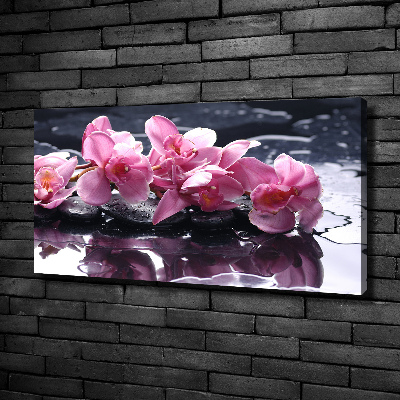 Bild auf leinwand Rosa Orchidee