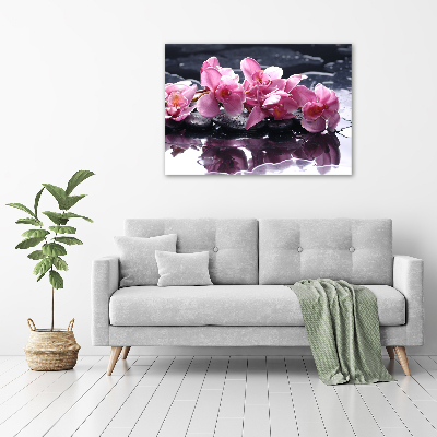 Bild auf leinwand Rosa Orchidee