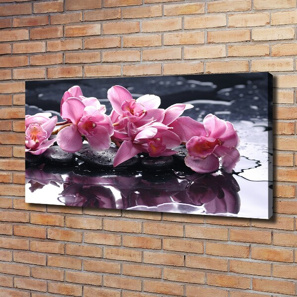 Bild auf leinwand Rosa Orchidee