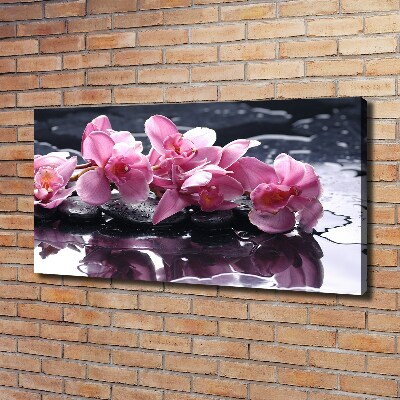 Bild auf leinwand Rosa Orchidee