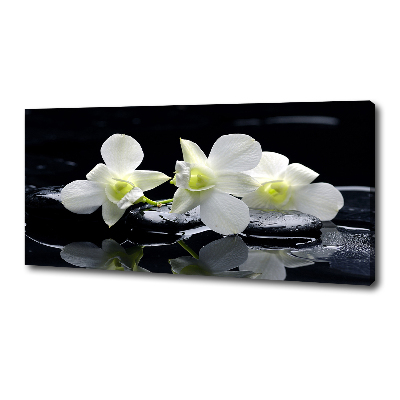 Wandbild Orchidee