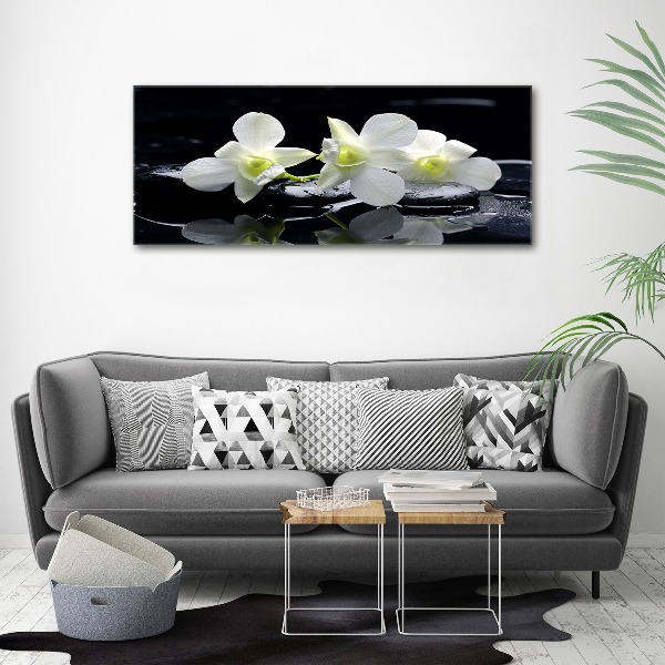 Wandbild Orchidee