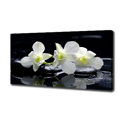 Wandbild Orchidee
