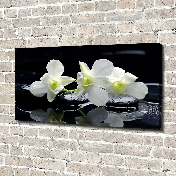 Wandbild Orchidee