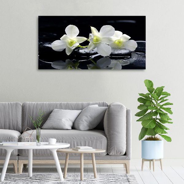 Wandbild Orchidee