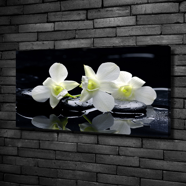 Wandbild Orchidee