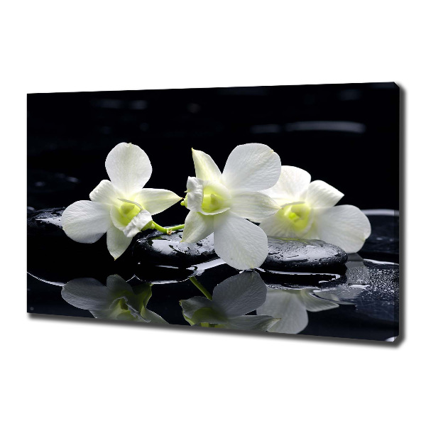 Wandbild Orchidee