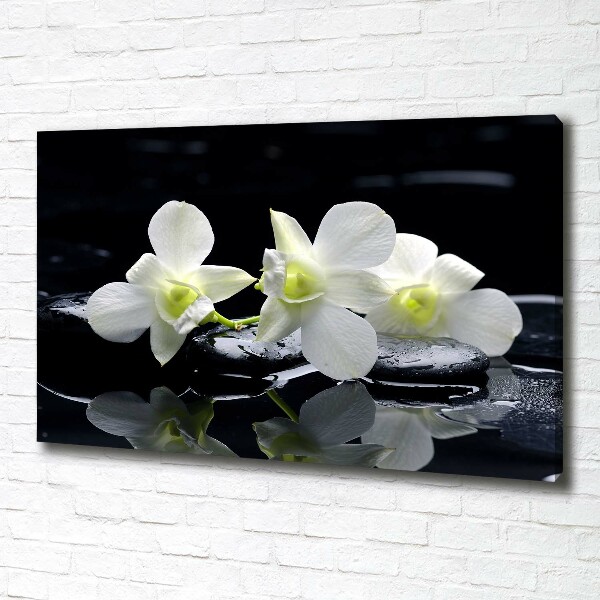 Wandbild Orchidee