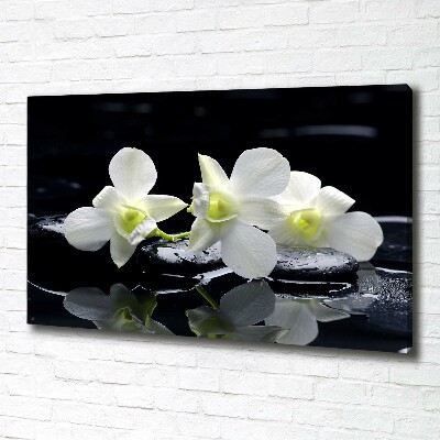Wandbild Orchidee