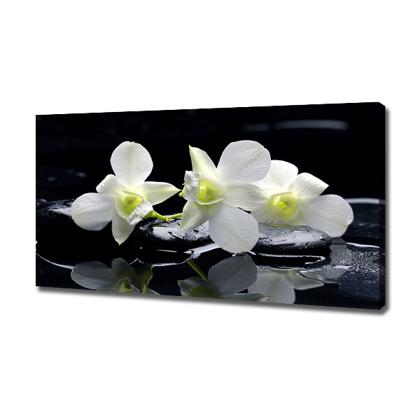 Wandbild Orchidee