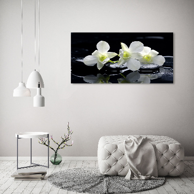 Wandbild Orchidee