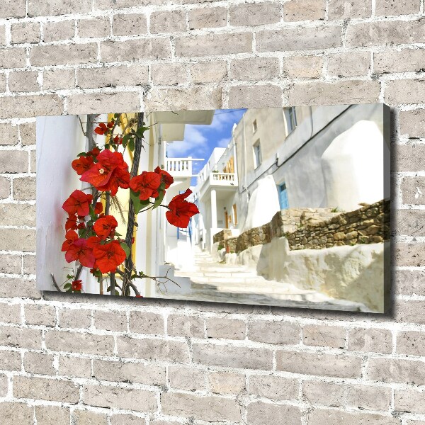 Bild auf leinwand Mykonos, Griechenland