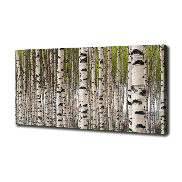 Wandbild Birkenwald