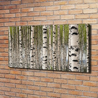 Wandbild Birkenwald