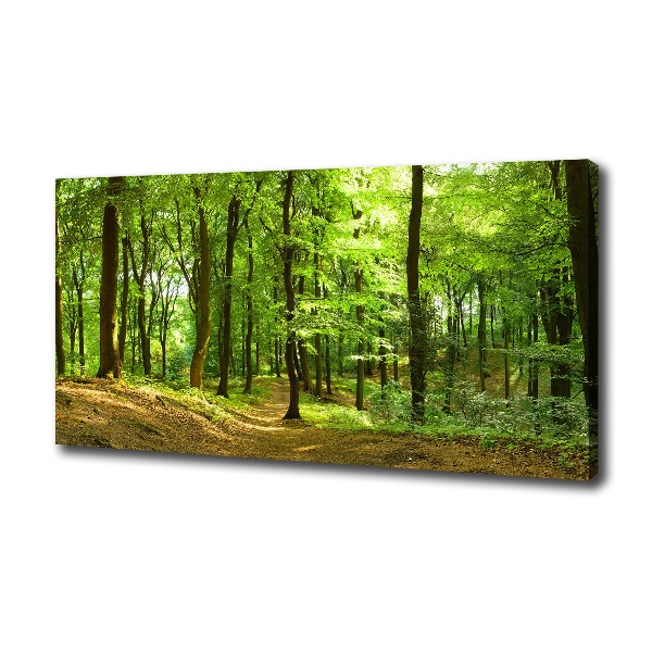 Wandbild Waldweg