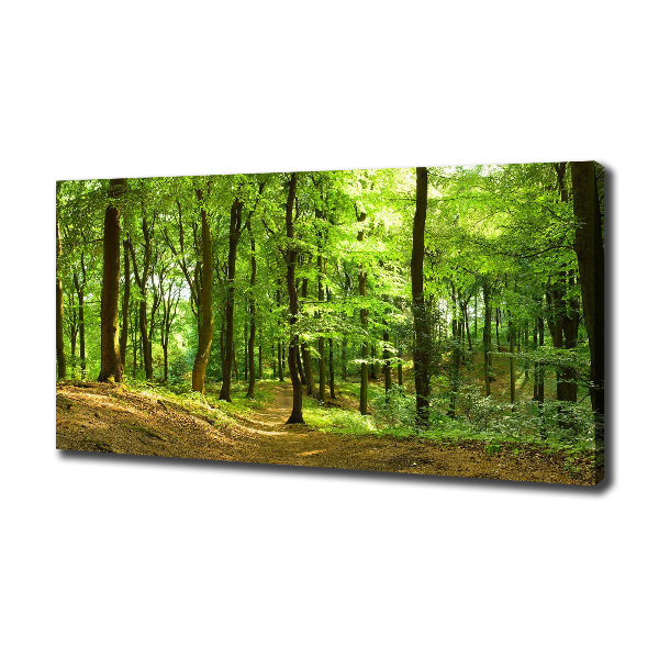 Wandbild Waldweg