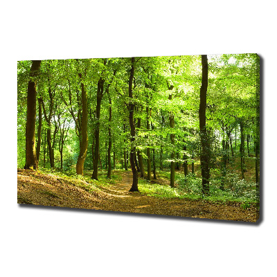 Wandbild Waldweg