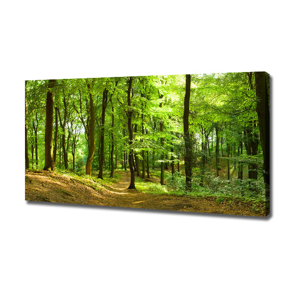 Wandbild Waldweg