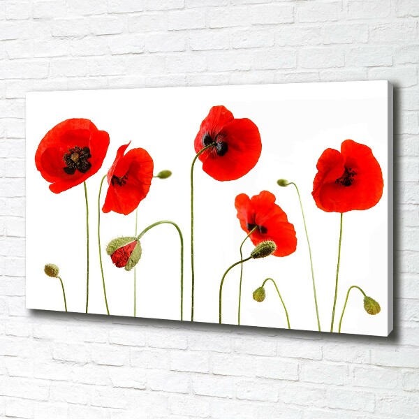 Wandbild Mohnblumen