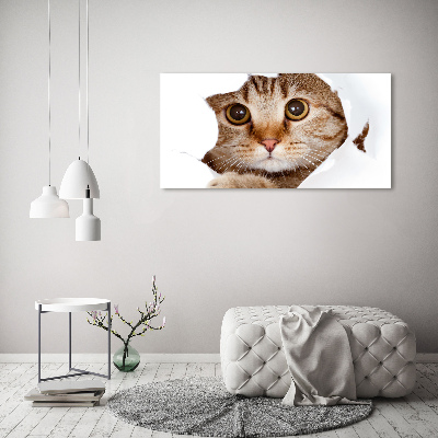 Bild auf leinwand Katze