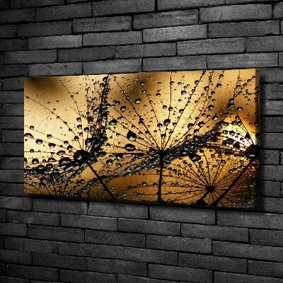 Fotobild Löwenzahnsamen