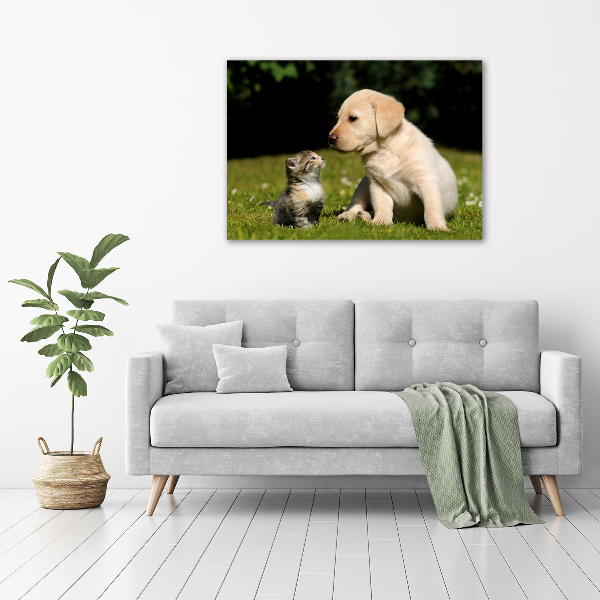 Fotobild Hund und Katze auf der Wiese