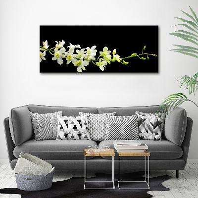 Fotobild Orchidee